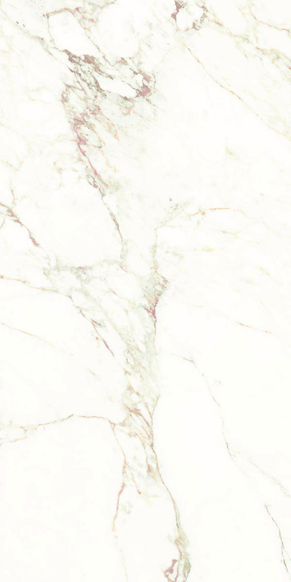 CARPECIA WINE F2